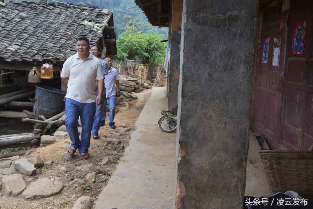 茶乡“领头阳”的人善茶方纯