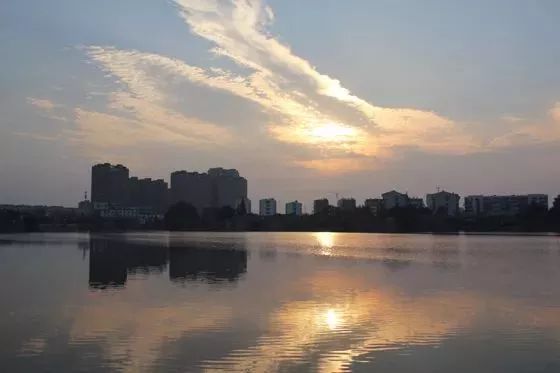 今日无为县头条,无为县最新头条