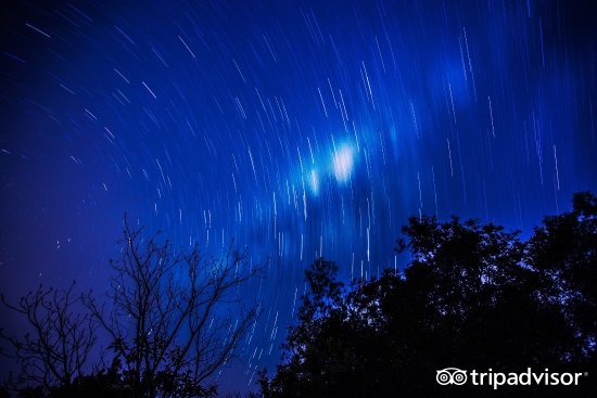 冲浪潜水跳伞旅行,冲浪浮潜看海豚