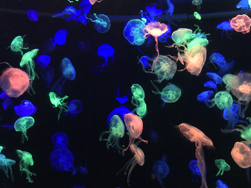 这个夏天带上ta来场浪漫的旅行,带上心爱的ta来一次浪漫之旅