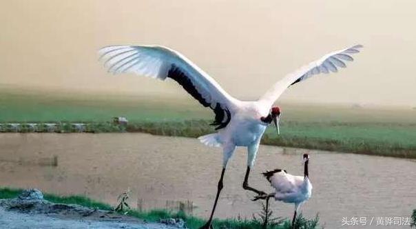 沧州哪些地方比较美,沧州啥时候变这么美了