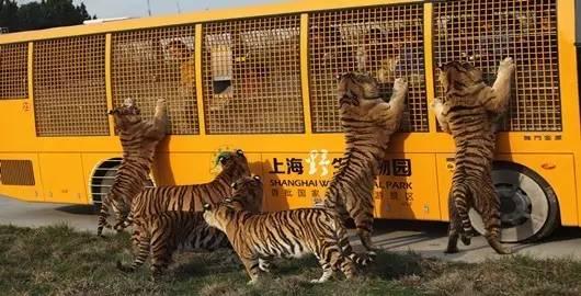 我国内地212个5a景区全在这里,带你看遍全中国的5a景区