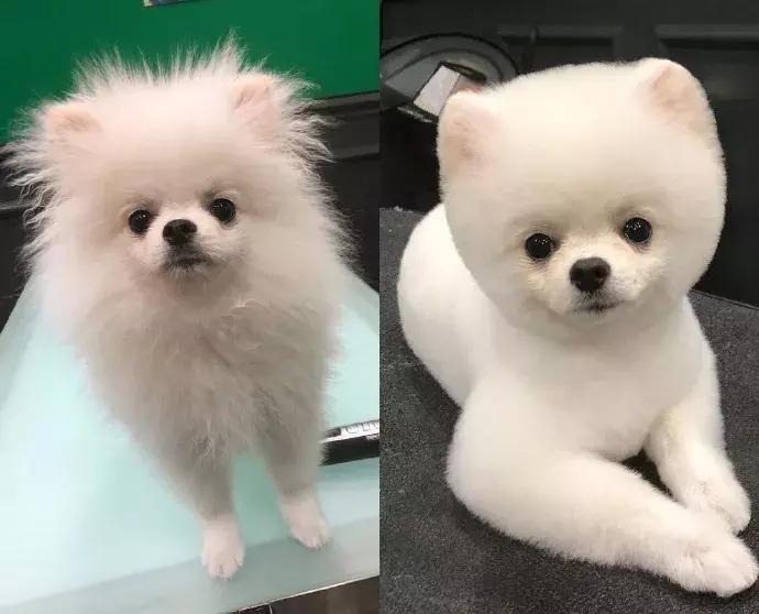 纳粹集中营1945,1945年德国集中营