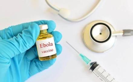 揭露猫贩子及网络买猫的骗局,揭秘那些网上卖猫的人