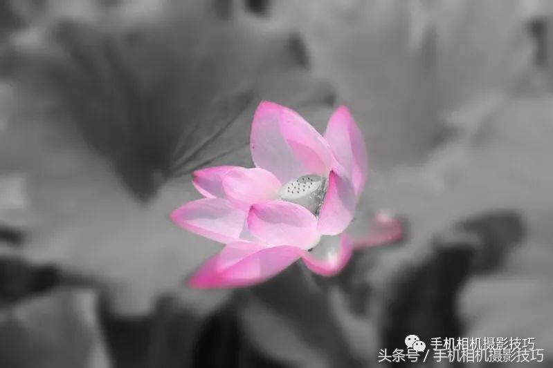 普通人如何拍有意思的视频,生活中可以拍哪些有趣的视频