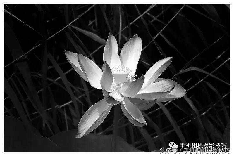 普通人如何拍有意思的视频,生活中可以拍哪些有趣的视频