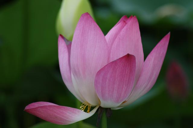 领导怎样应对斤斤计较的下属,如何驾驭爱计较的下属