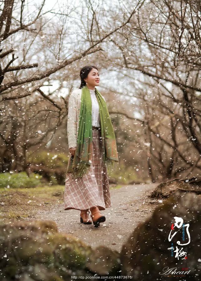 经典散文梦里花落知多少,花落知多少的情感句子摘抄