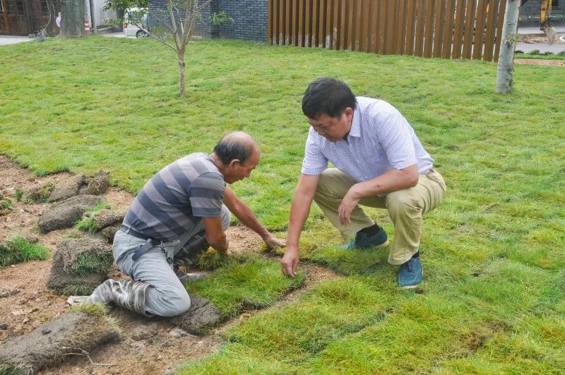 柴桥水芹书记,柴桥街道领导班子