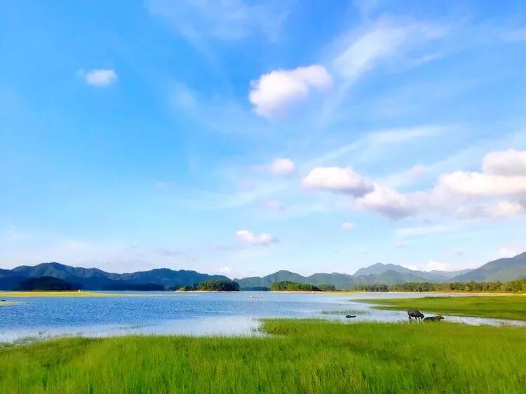 这座高铁直达的小县城，藏着圣托里尼的浪漫，济州岛的清新！