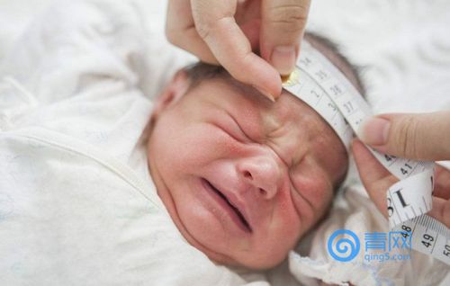 青岛市怀孕后要办理哪些证件,青岛婴儿出生后证件怎么办