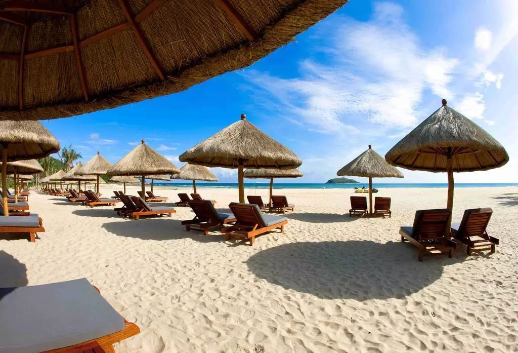 七夕撒狗粮的浪漫惊喜,七夕撒狗粮