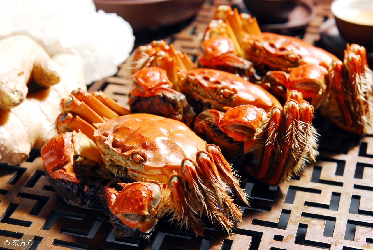 阳澄湖大闸蟹价格表今年螃蟹价格,阳澄湖大闸蟹什么时候上市及价格