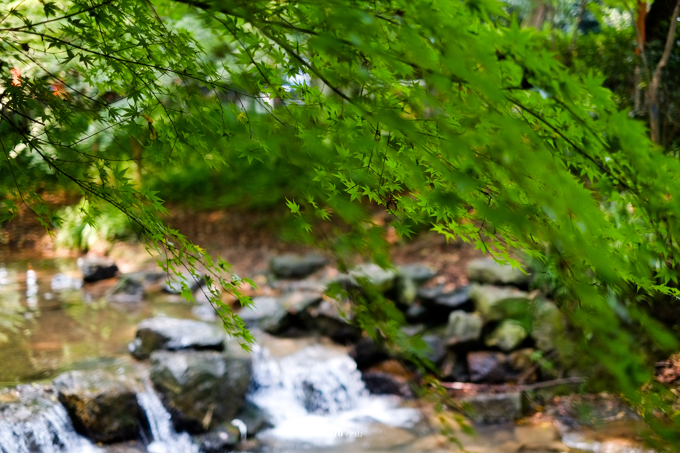 梦溪山庄与旗袍,杭州西湖区梦溪山庄