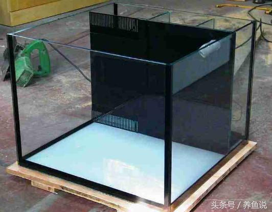 没有过滤系统的鱼缸水浑浊怎么办,有过滤的鱼缸水为什么浑浊