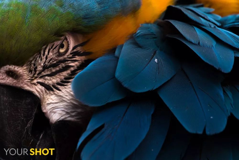 你忙着过七夕,而我用25张图纪念我们共度的这个夏天|夏末特供