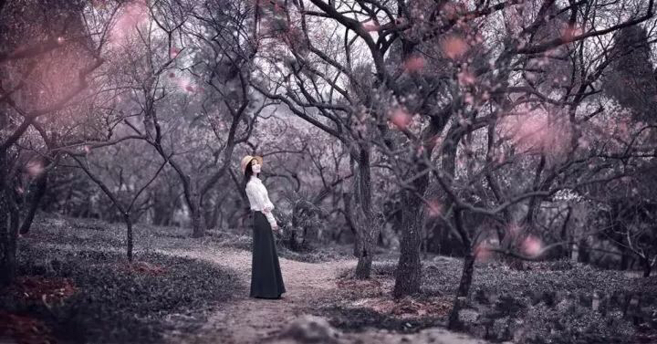 回眸一笑百媚生电视剧,回眸一笑百媚生小说