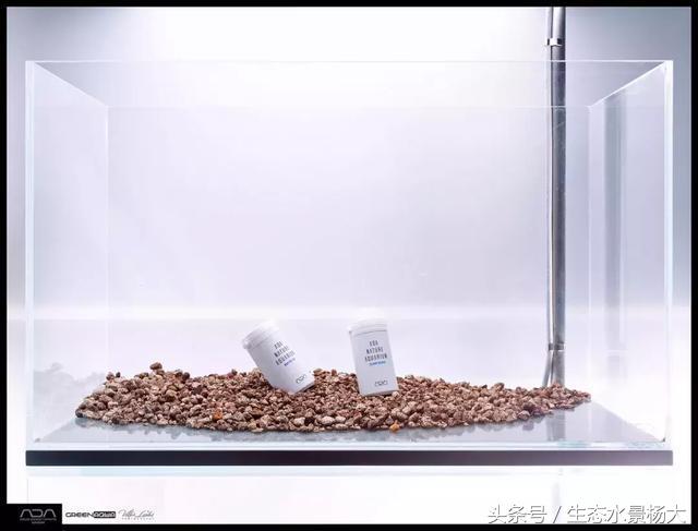 ada草缸造景什么意思,ada造景大赛60缸