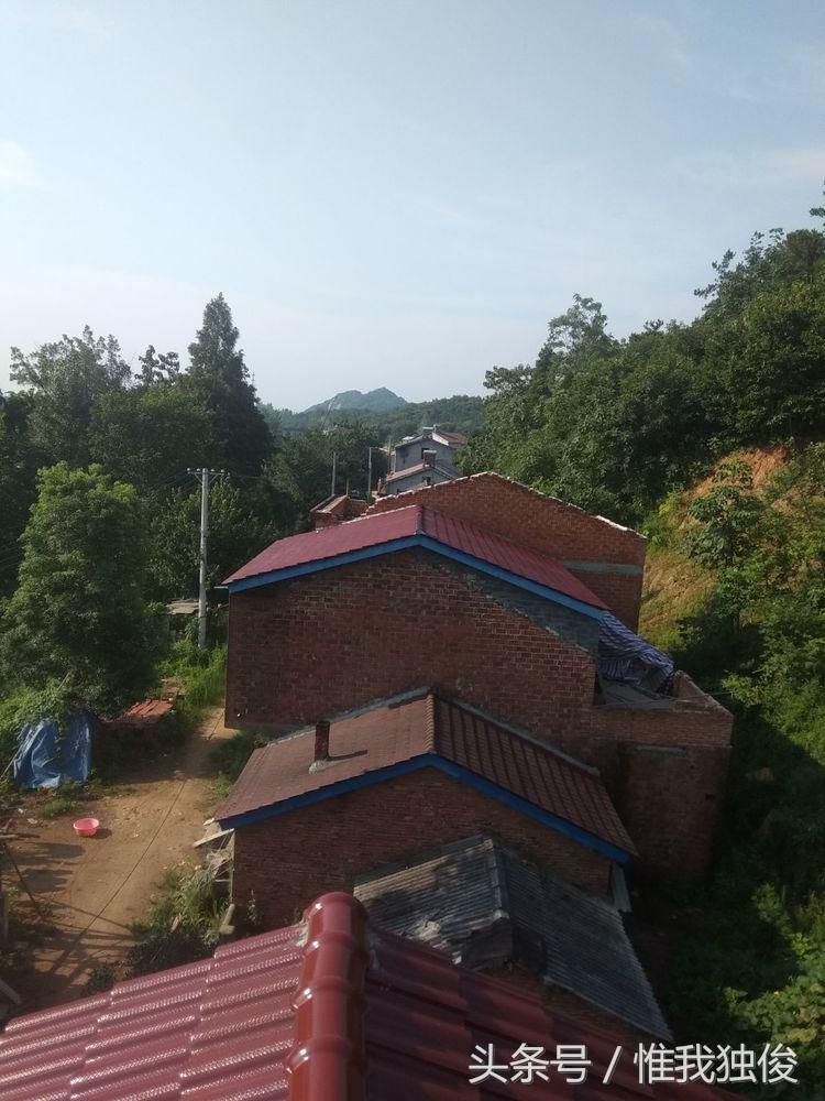 张光春最新视频,张光春钟祥