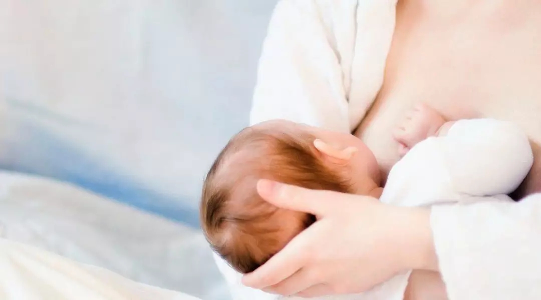 乳房基本知识普及,乳房小秘密科普