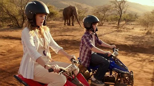 11部高分治愈电影推荐,盘点11部豆瓣3分以下的电视剧