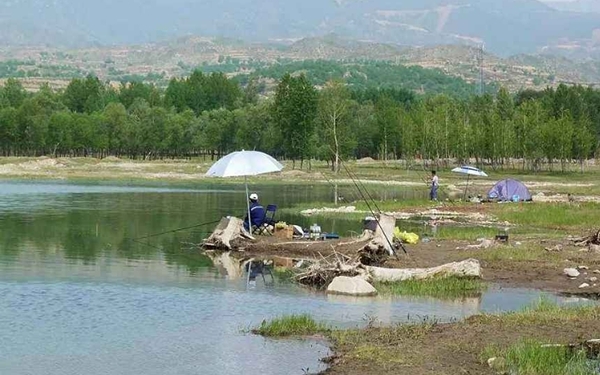 为什么草鱼老是钓不到,草鱼应该怎么钓才好吃