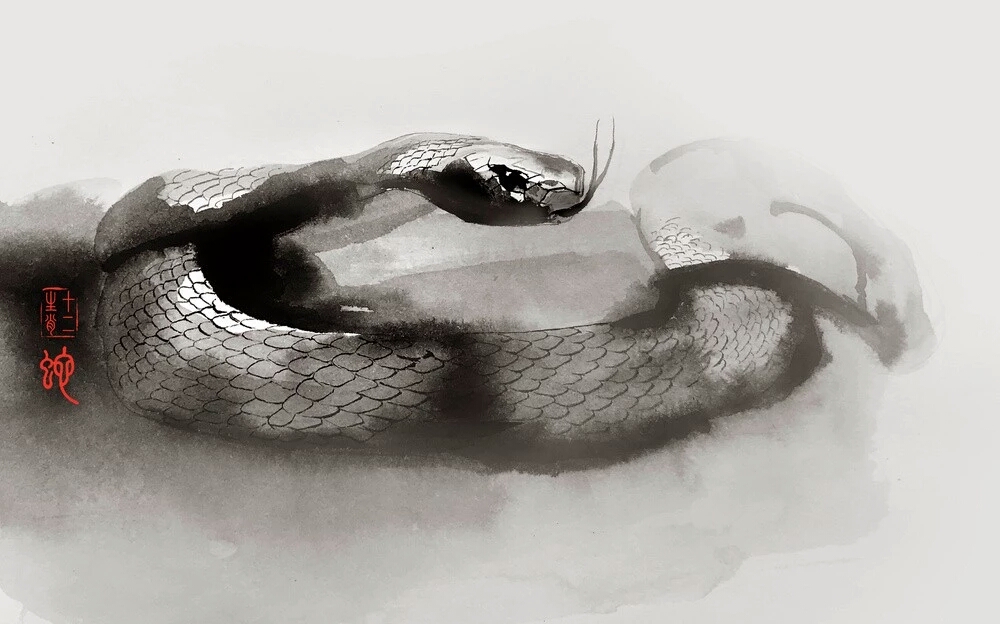 如何破解属相不合的婚配,如何破解五行相克