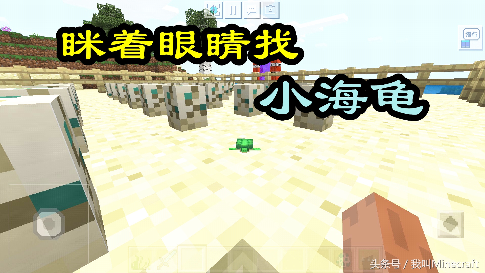我的世界怎么孵化海龟的蛋,我的世界怎么快速孵化小海龟