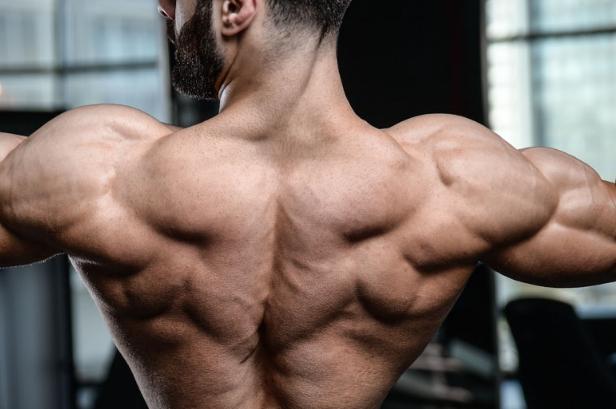 如何练习肌肉爆发力,爆发力怎么练最有效