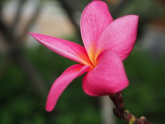 闺蜜三亚游详细攻略,七夕去哪里玩比较浪漫三亚