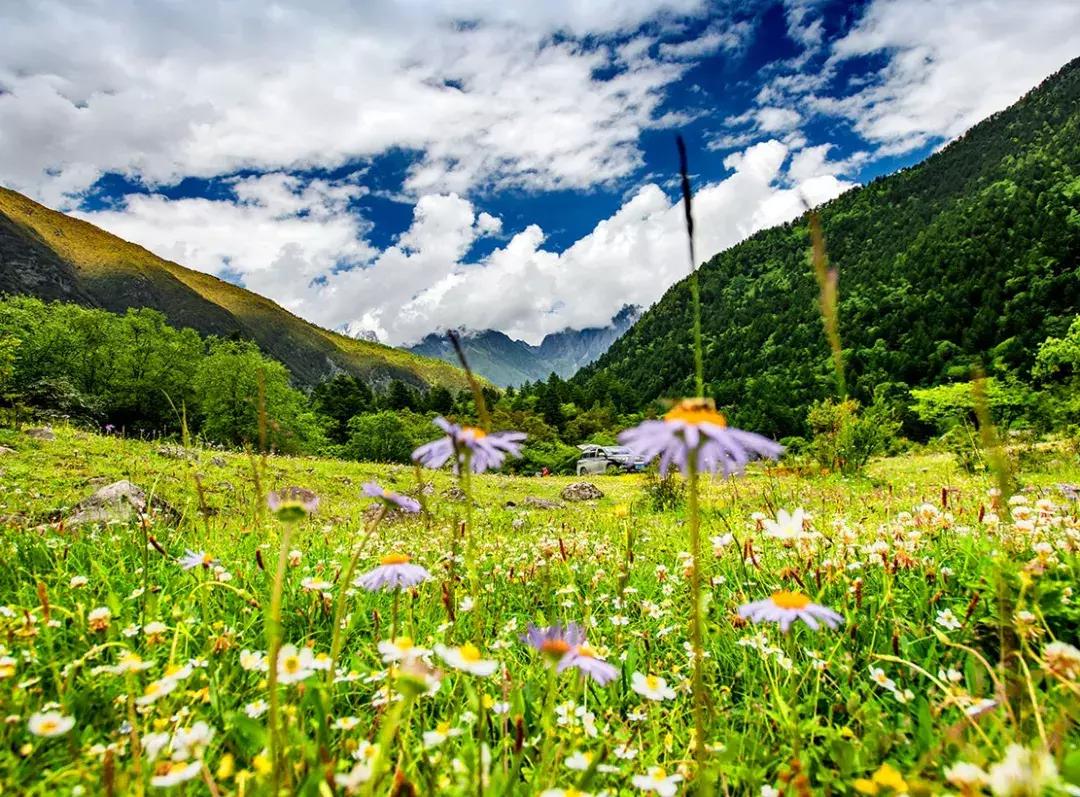 秒杀若尔盖！川西有个官方认定的最美草原，景美人少不收门票！