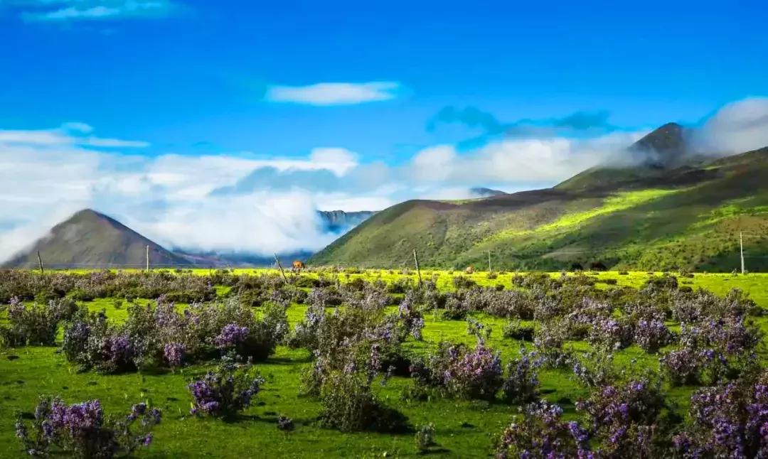 秒杀若尔盖！川西有个官方认定的最美草原，景美人少不收门票！
