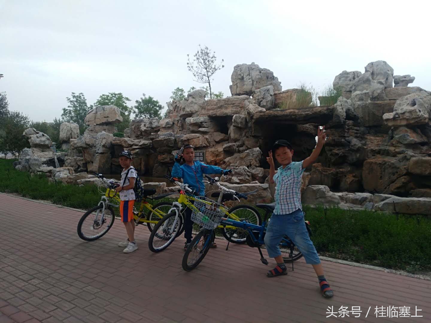 银川人旅游,银川市民骑车