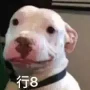 dior999卖400,dior999卖299