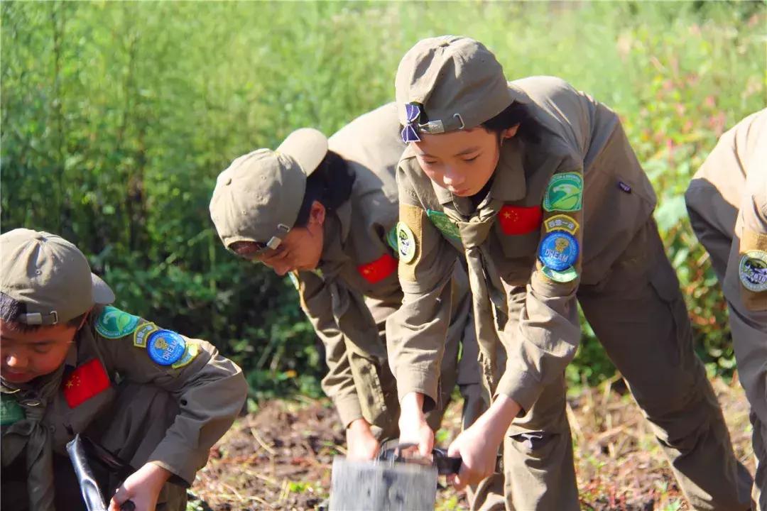 带小孩来田间地头体验生活,带孩子体验一下田间生活