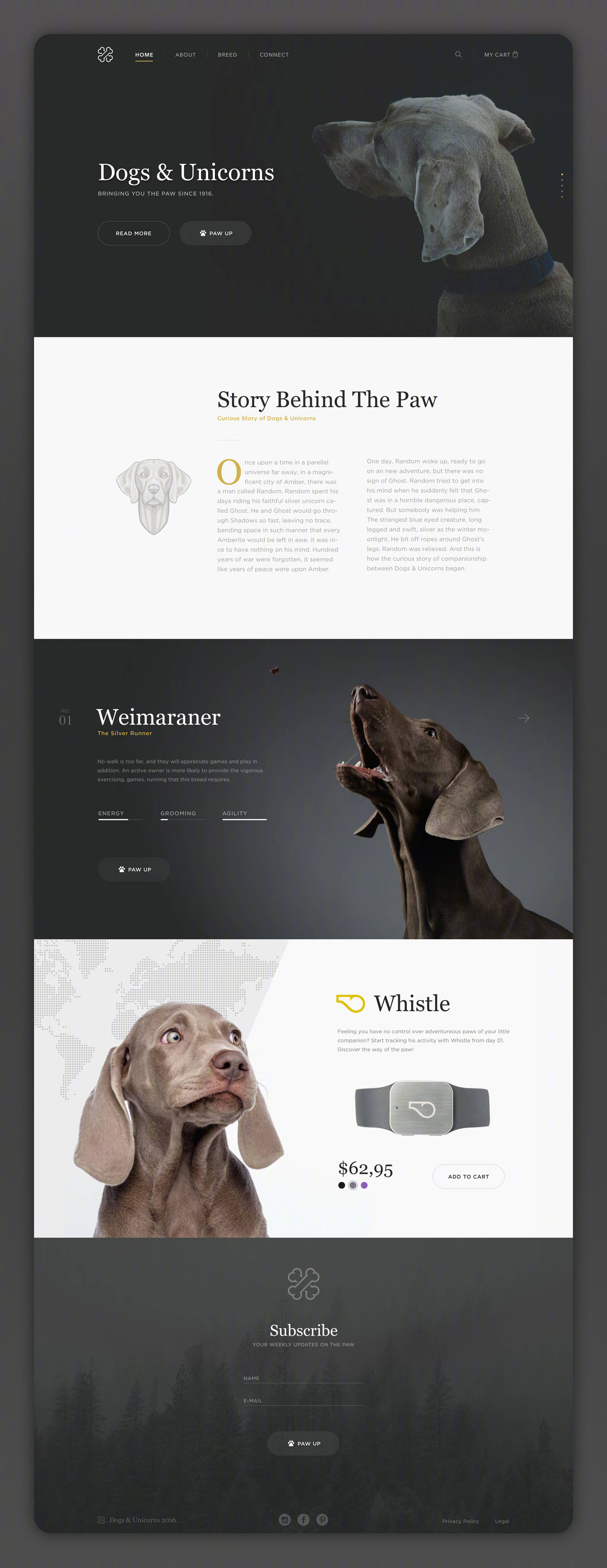 超简单网站模板,高端网站案例模板图片制作