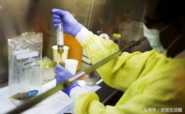 新密人看过来，来呀！一起去“粪斗”吧！啥也不用做，年入18万！