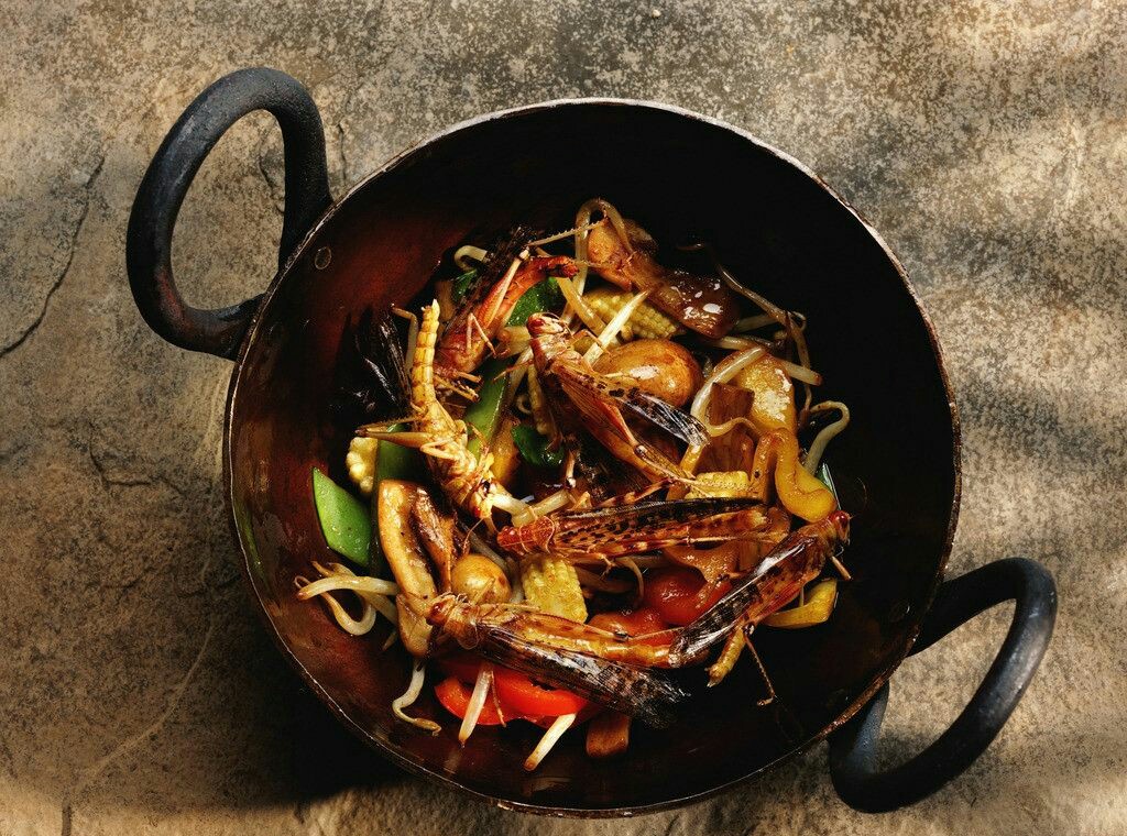 农村地里的蚂蚱,野生的蚂蚱哪种可以吃