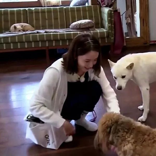 年轻人背帆布包,上班族背便宜的帆布包丢人吗