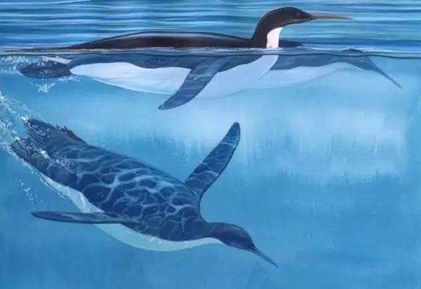 地球史前十大奇葩动物,地球远古动物大全