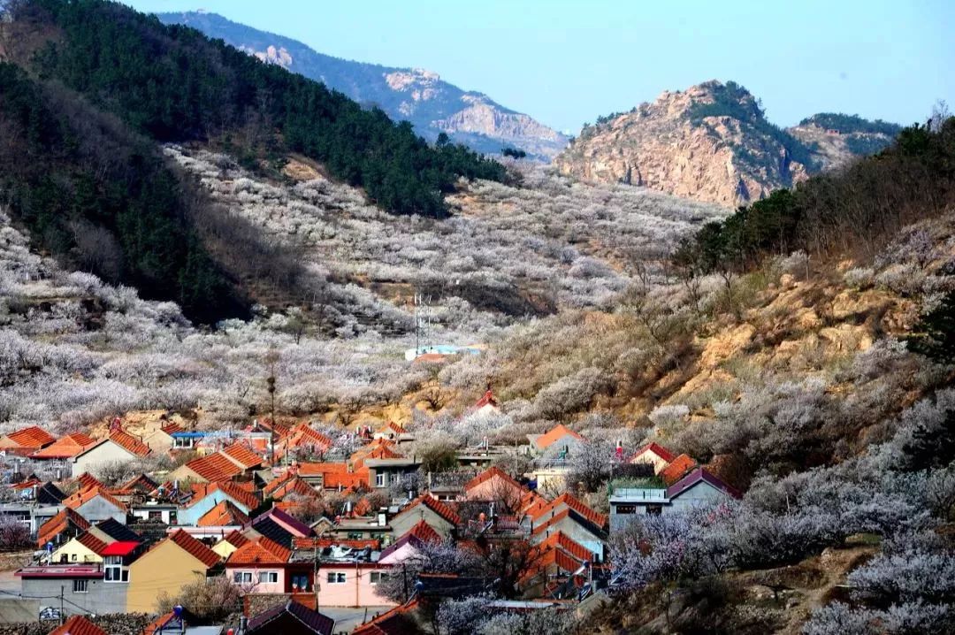 青岛旅游景点票价,青岛景点及票价