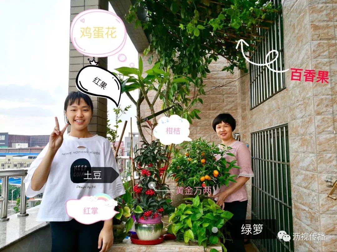 最美庭院评选,寻找最漂亮的花园小院