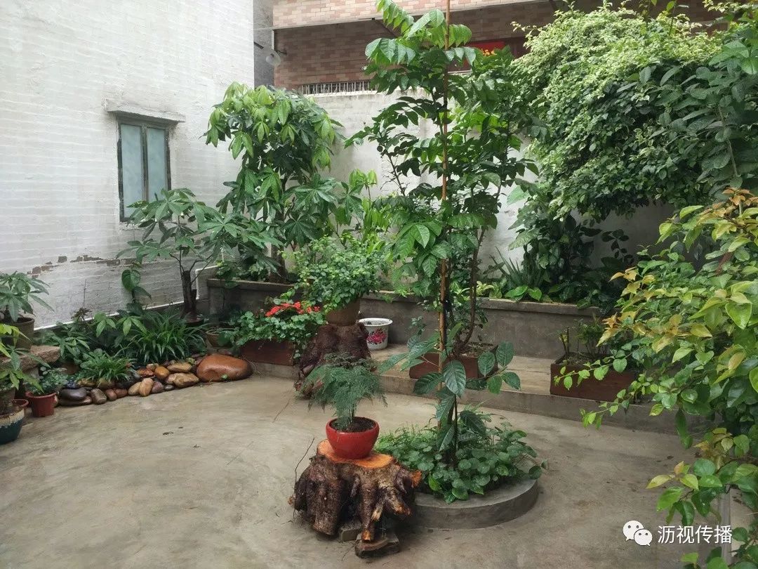 最美庭院评选,寻找最漂亮的花园小院