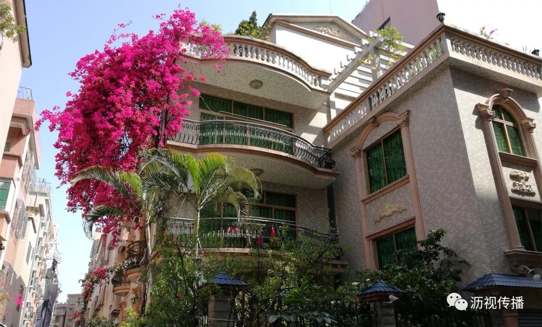 最美庭院评选,寻找最漂亮的花园小院