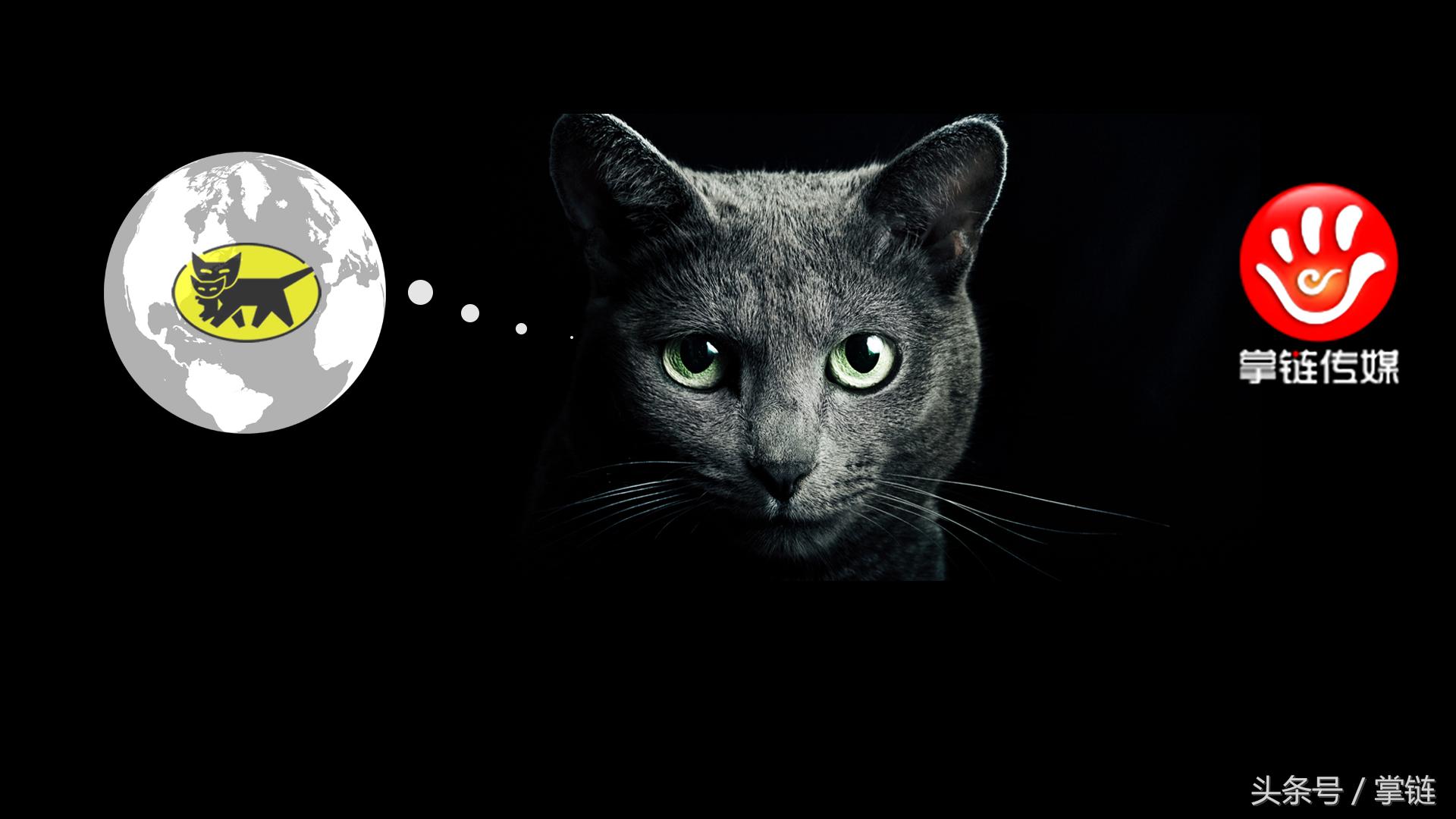 日本黑猫宅急便盯上中国即时物流市场，快服务契合度有多大？