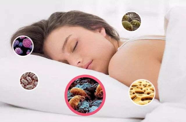 电吹风导致头发干枯、分叉！有了这个微米级日本干发帽，不伤发不掉毛，3分钟头发就干了