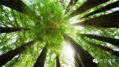 教育孩子应该尊重什么规律,教育孩子要走正道