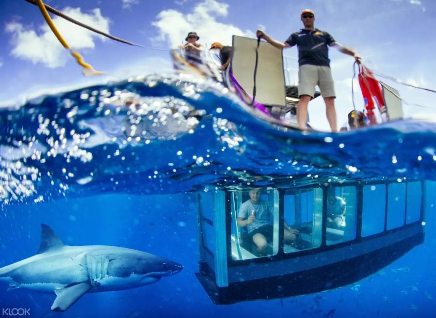 南澳除了美酒美食，还有这些超赞的打卡体验