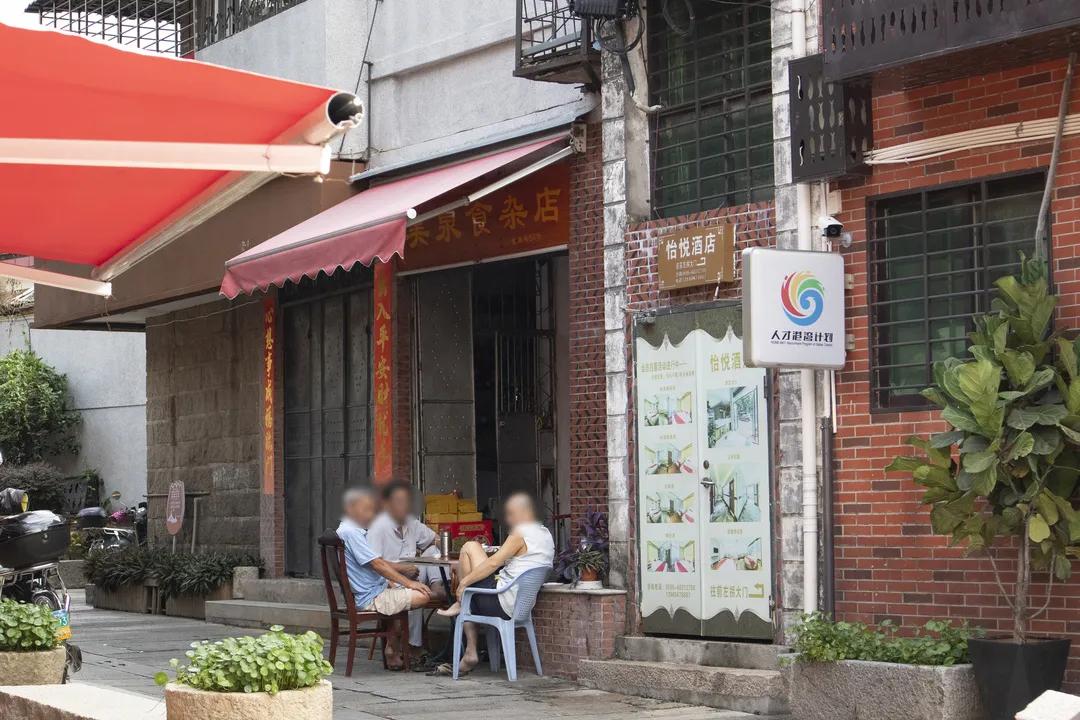 带着白茶去旅行,带着茶叶去踏青