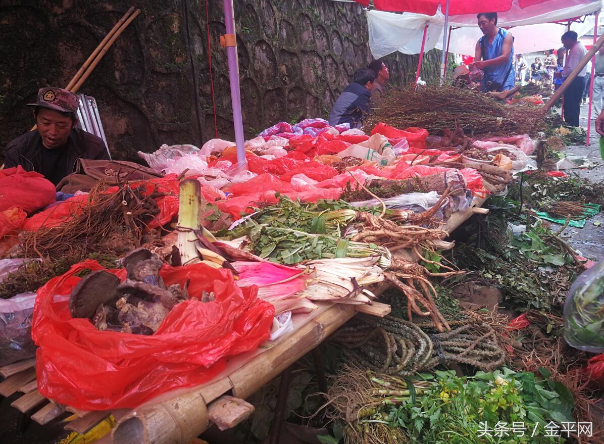 云南金平神秘瑶药：产妇分娩沐浴后，三天以后就可以做家务